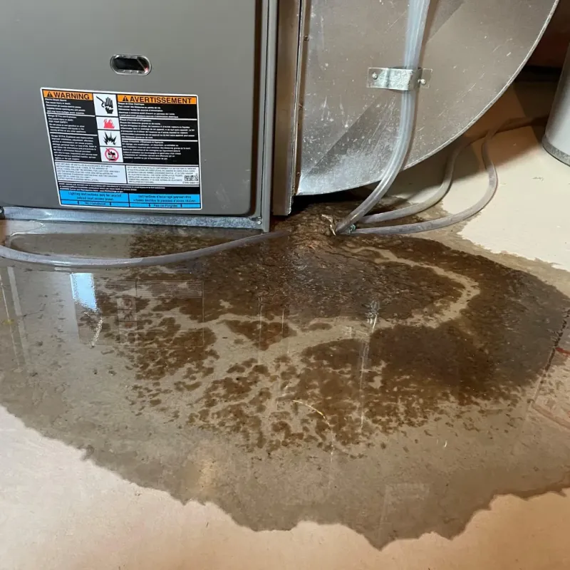 Appliance Leak Cleanup in Toftrees, PA